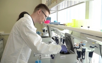 рыба мурена которая ест угрей. Смотреть фото рыба мурена которая ест угрей. Смотреть картинку рыба мурена которая ест угрей. Картинка про рыба мурена которая ест угрей. Фото рыба мурена которая ест угрей рыба мурена которая ест угрей. Смотреть фото рыба мурена которая ест угрей. Смотреть картинку рыба мурена которая ест угрей. Картинка про рыба мурена которая ест угрей. Фото рыба мурена которая ест угрей